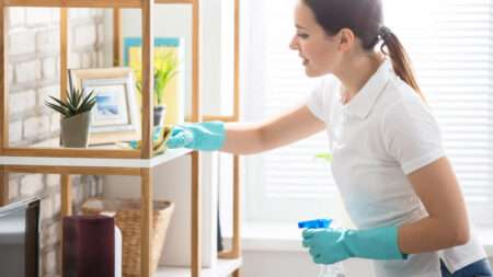  House Cleaning Service in the Treasure Valley